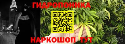 крисы Усть-Илимск