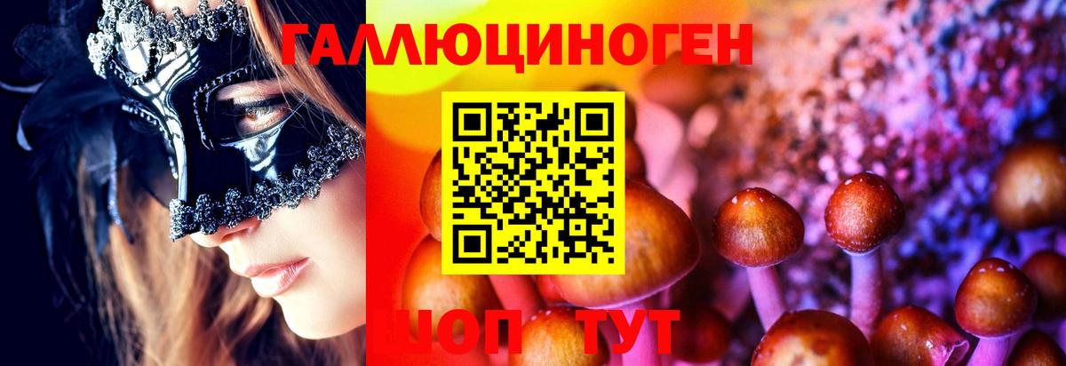 Брянск  Галлюциногенные грибы прущие грибы  наркота  Вход с VPN 